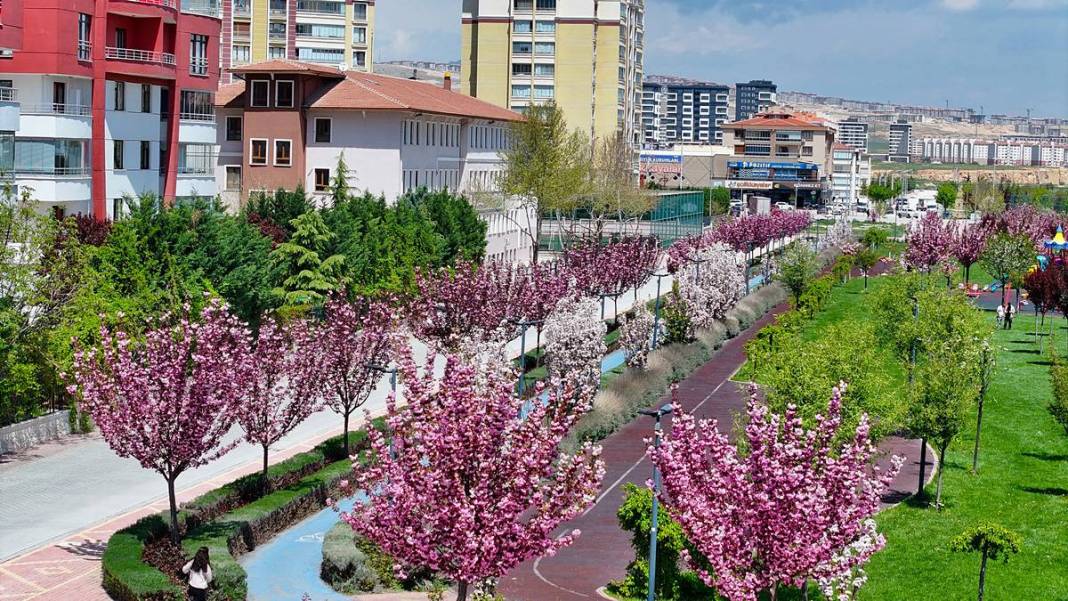 Japonya sanılan büyüleyici yer Konya çıktı 4
